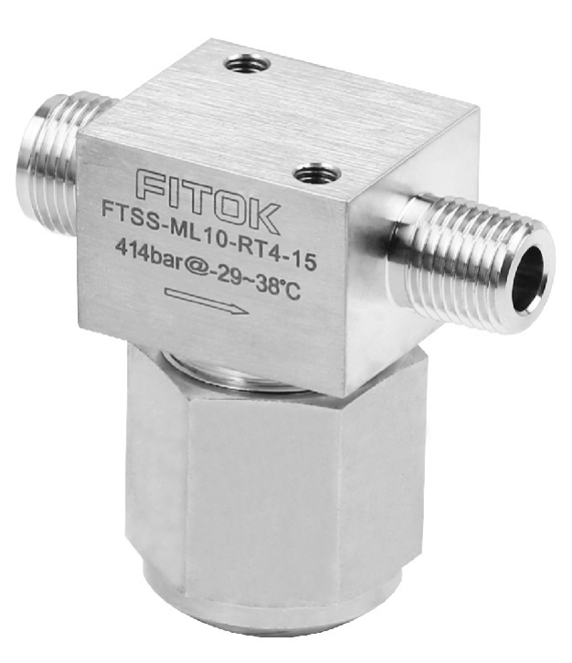 FITOK FT filter catalog image — larger view of the marked FTSS-ML10-RT4-15 body; not a different model from the companion overview.